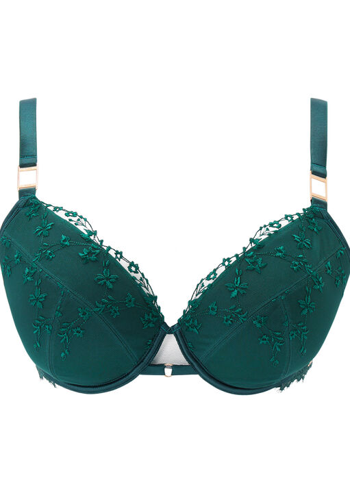 Knickerbox Hallie Embroidered Padded Plunge Bra image number 9.0