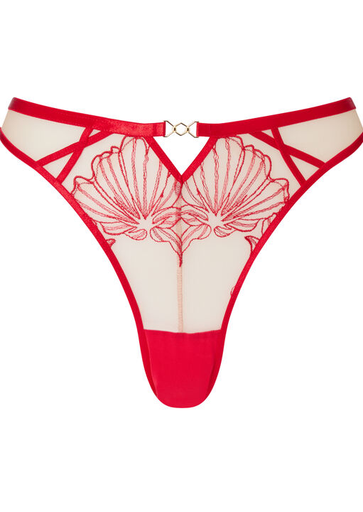 Incensing Brazilian image number 4.0