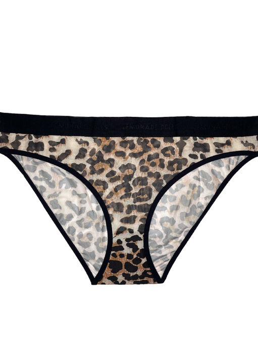 Mesh Brief image number 4.0