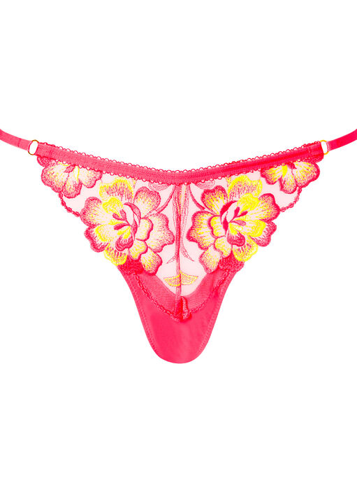 Tropical Oasis String image number 4.0