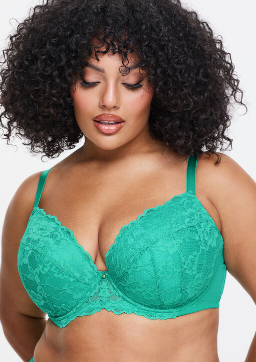 Sexy Lace Padded Plunge Bra image number 3.0
