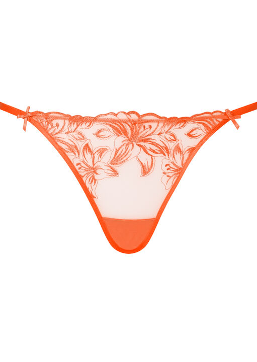 Tangerine Dream G-String image number 4.0
