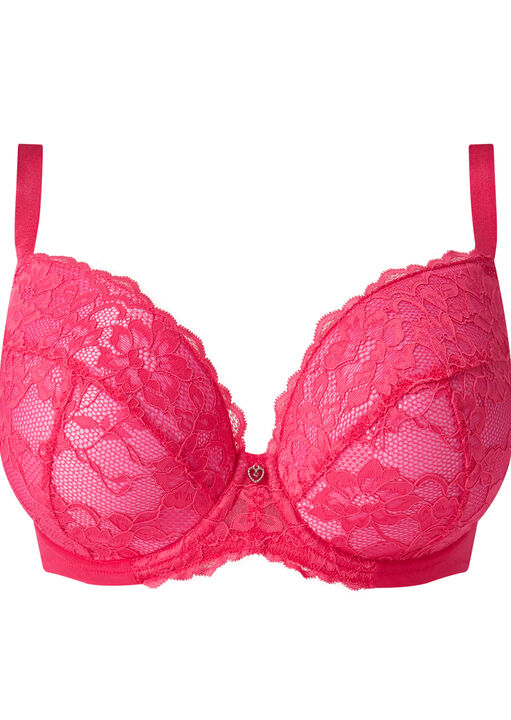 Sexy Lace Padded Plunge Bra image number 9.0