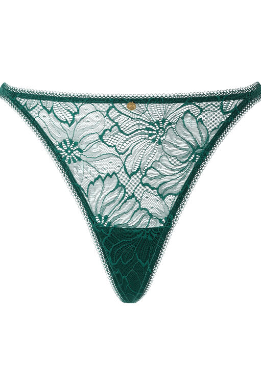 Alice String image number 5.0