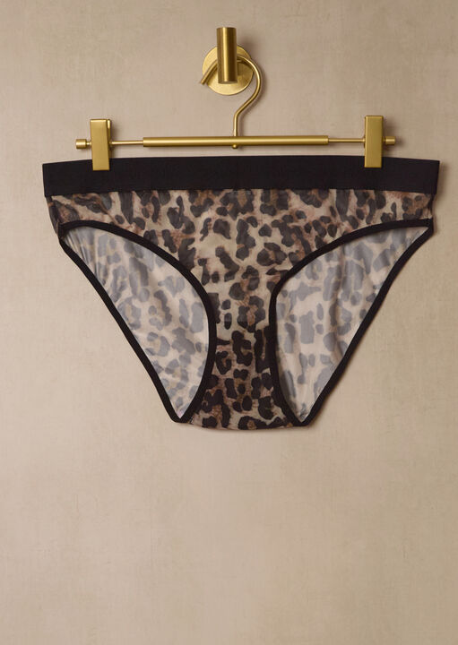 Mesh Brief image number 3.0