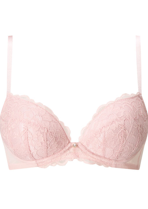 Sexy Lace Padded Plunge Bra image number 4.0