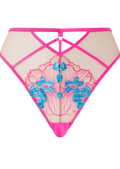 Ambitious Embroidered High Waisted Brazilian Knickers image number 4.0