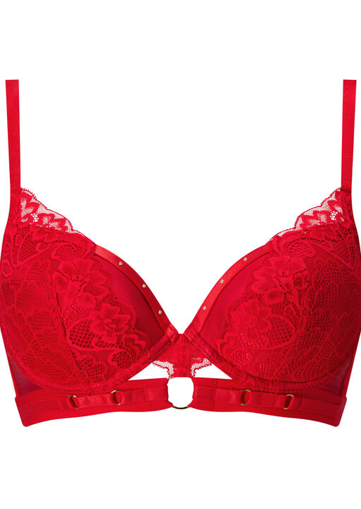 Undisputed Padded Plunge Bra image number 8.0