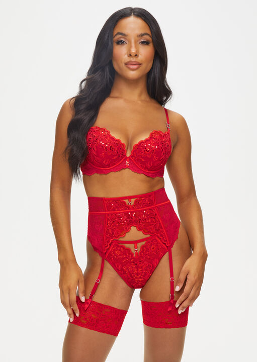 The Icon Padded Plunge Bra image number 0.0