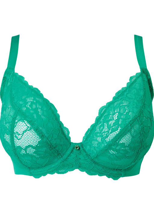 Sexy Lace Fuller Bust Non Padded Plunge Bra image number 4.0