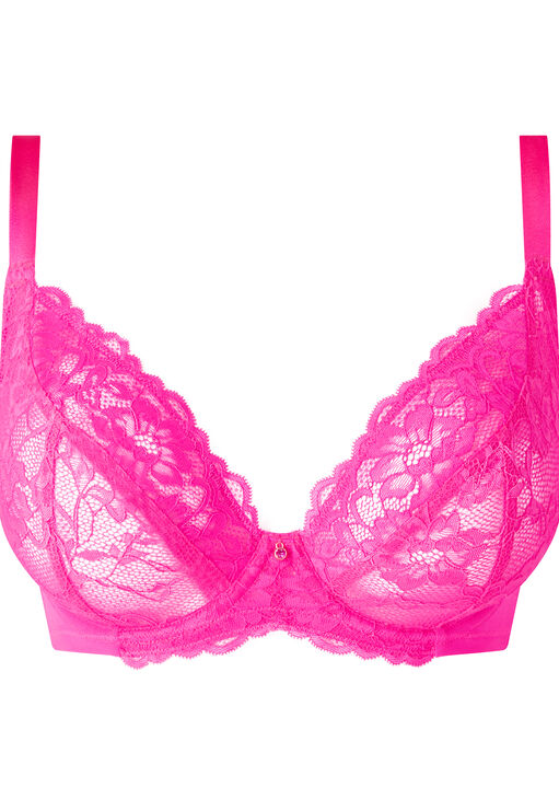 Sexy Lace Fuller Bust Non Padded Plunge Bra image number 4.0