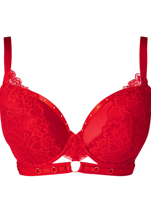 Undisputed Padded Plunge Bra image number 9.0