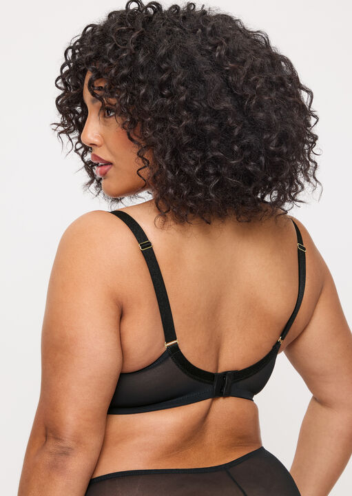 Sexy Lace Fuller Bust Non Padded Plunge Bra image number 2.0