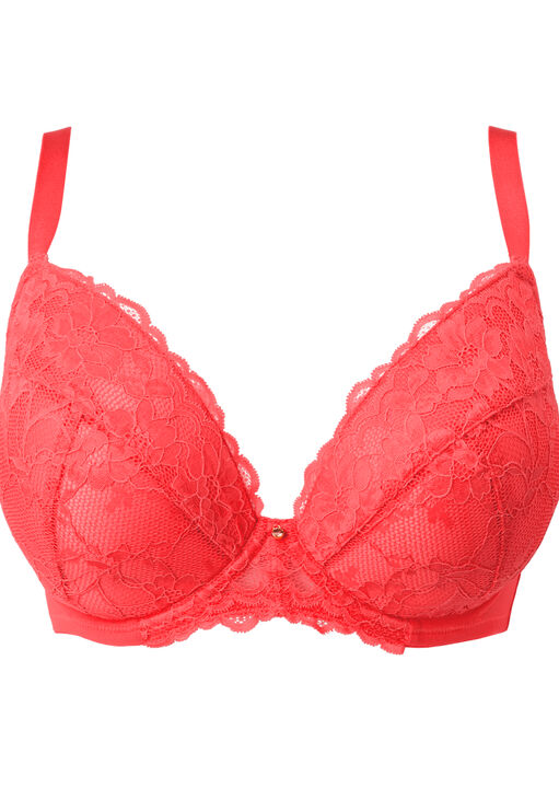Sexy Lace Padded Plunge Bra image number 8.0
