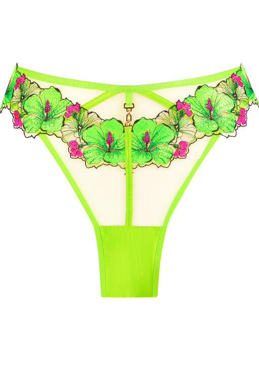 Caged Hibiscus Brazilian image number 4.0