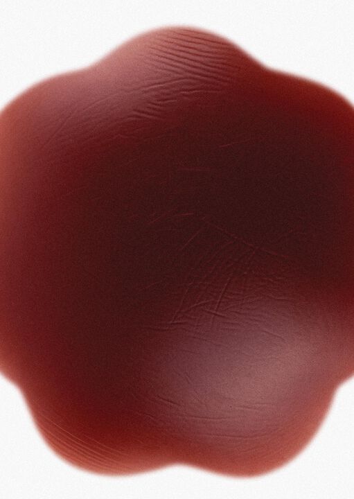 Reusable Silicone Flower Nipple Covers image number 1.0