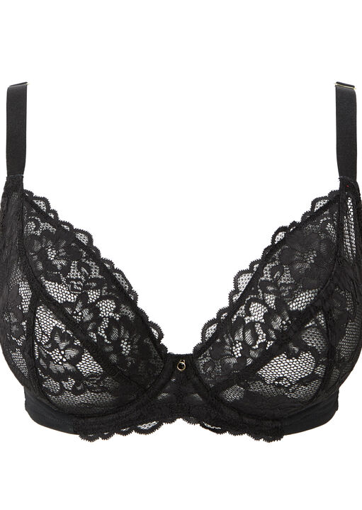 Sexy Lace Non Padded Fuller Bust Plunge Bra 2 Pack image number 5.0