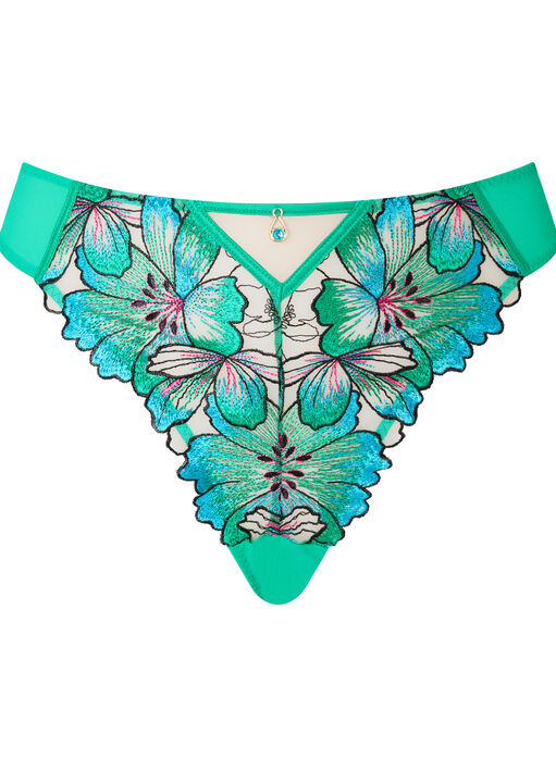 Fluorescence Brazilian image number 4.0