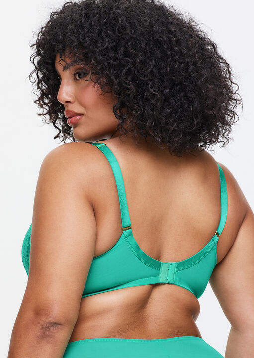 Sexy Lace Padded Plunge Bra image number 5.0
