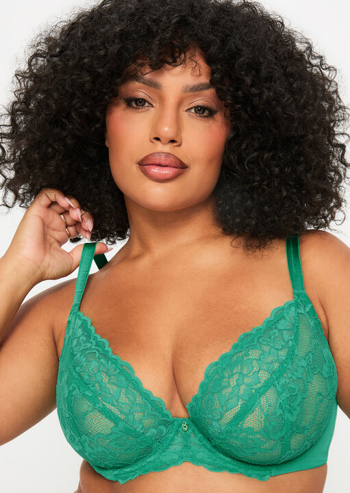 Sexy Lace Fuller Bust Non Padded Plunge Bra image number 1.0