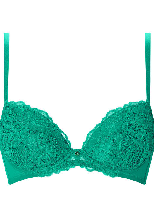 Sexy Lace Padded Plunge Bra image number 4.0