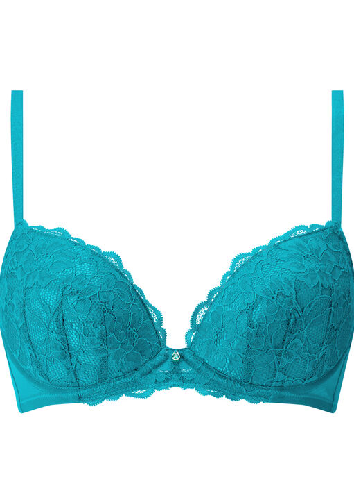 Sexy Lace Padded Plunge Bra image number 8.0