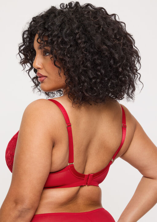 Sexy Lace Fuller Bust Non Padded Plunge Bra image number 2.0