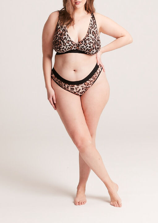Mesh Brief image number 1.0