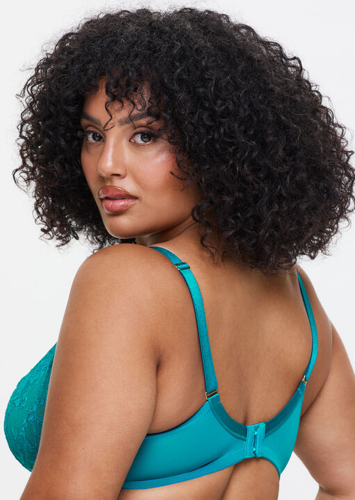 Sexy Lace Fuller Bust Non Padded Plunge Bra image number 2.0