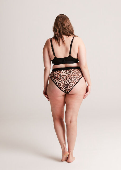 Mesh Brief image number 2.0