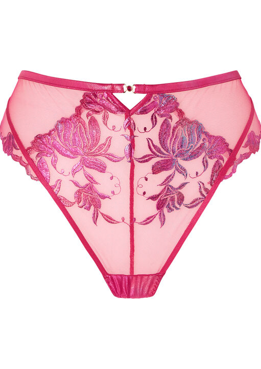 Magnetizing Embroidered High Waisted Brazilian Knickers image number 4.0