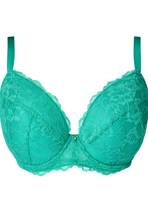 Sexy Lace Padded Plunge Bra image number 9.0
