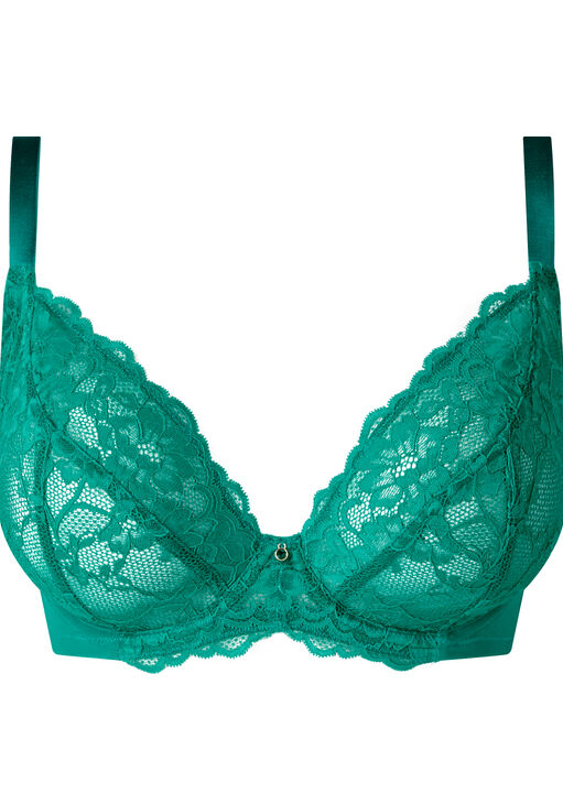 Sexy Lace Fuller Bust Non Padded Plunge Bra image number 4.0