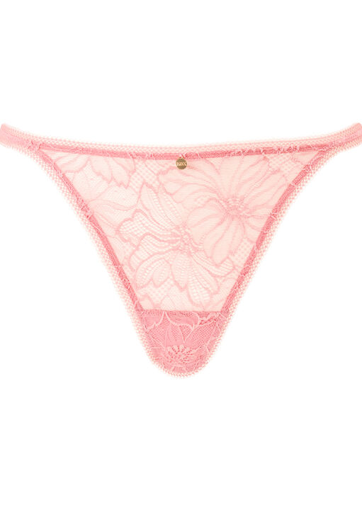 Alice String image number 5.0