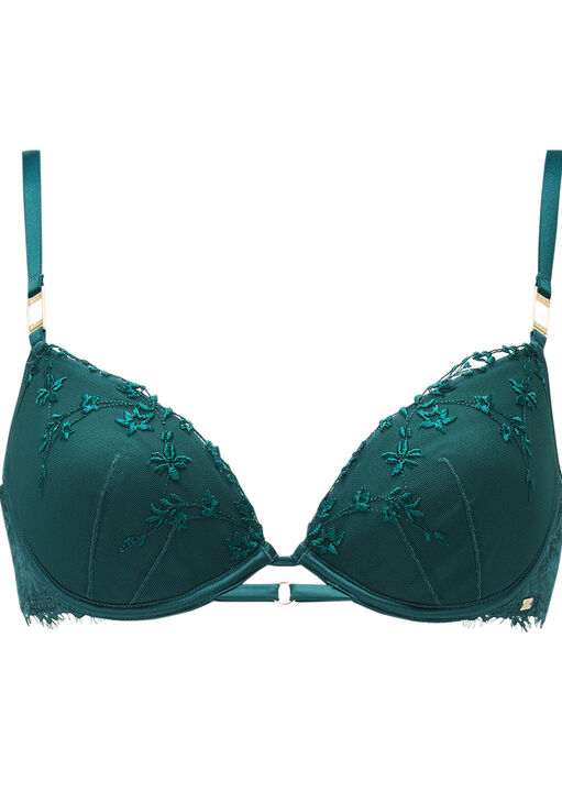 Knickerbox Hallie Embroidered Padded Plunge Bra image number 8.0