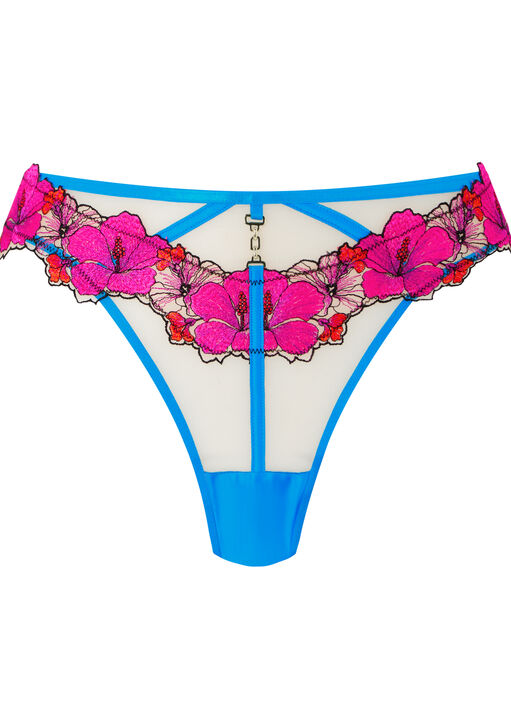 Caged Hibiscus Brazilian image number 4.0