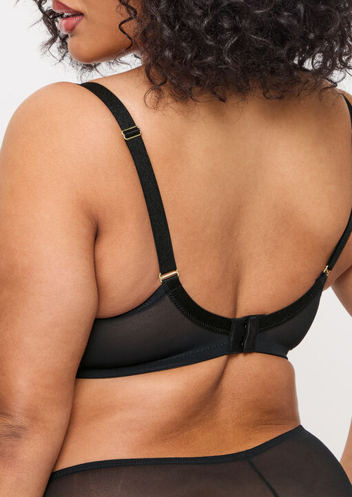 Sexy Lace Fuller Bust Non Padded Plunge Bra image number 2.0