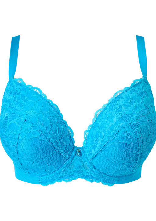 Sexy Lace Padded Plunge Bra image number 9.0