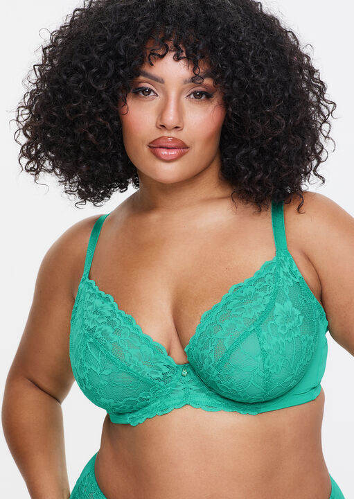 Sexy Lace Fuller Bust Non Padded Plunge Bra image number 1.0