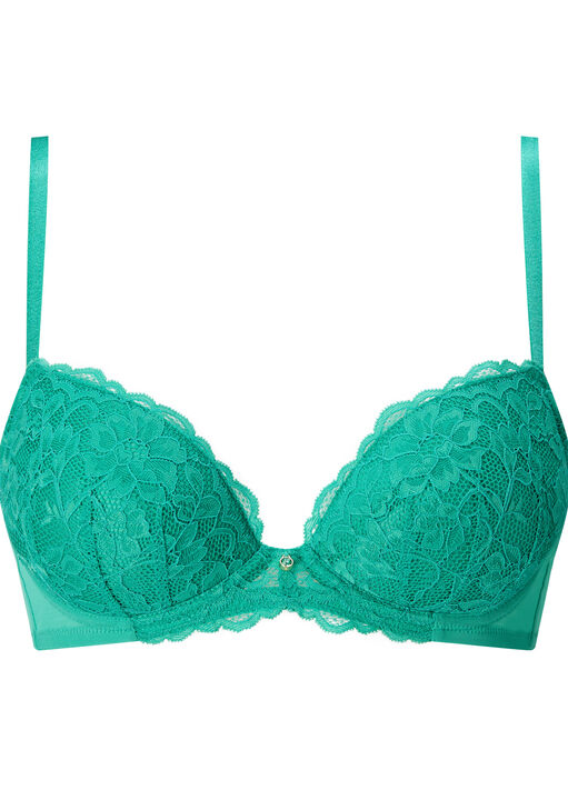 Sexy Lace Padded Plunge Bra image number 8.0