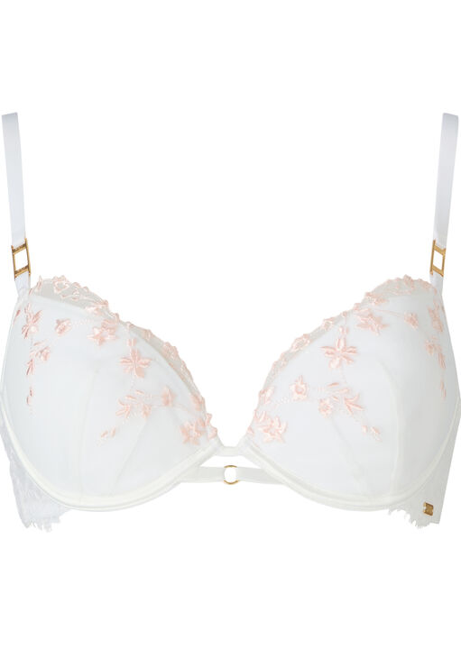 Knickerbox Hallie Embroidered Padded Plunge Bra image number 4.0