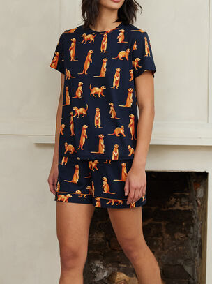 Meerkat Poly T Shirt Set - Blue