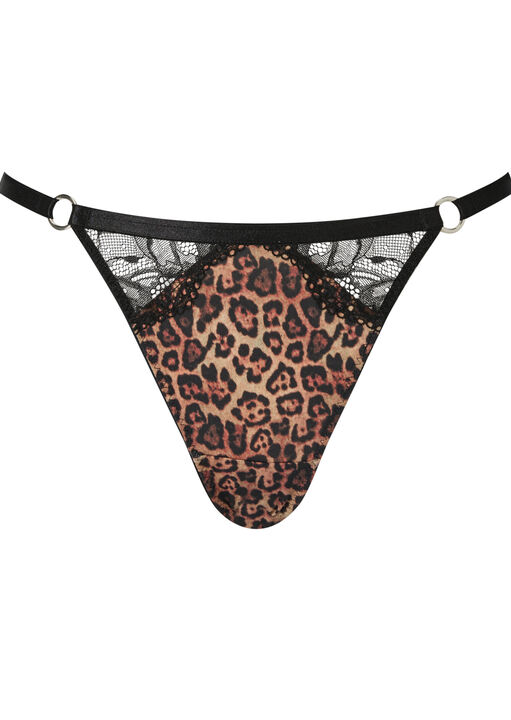 Feline Fantasy String image number 4.0