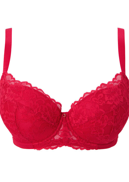 Sexy Lace Padded Plunge Bra image number 8.0