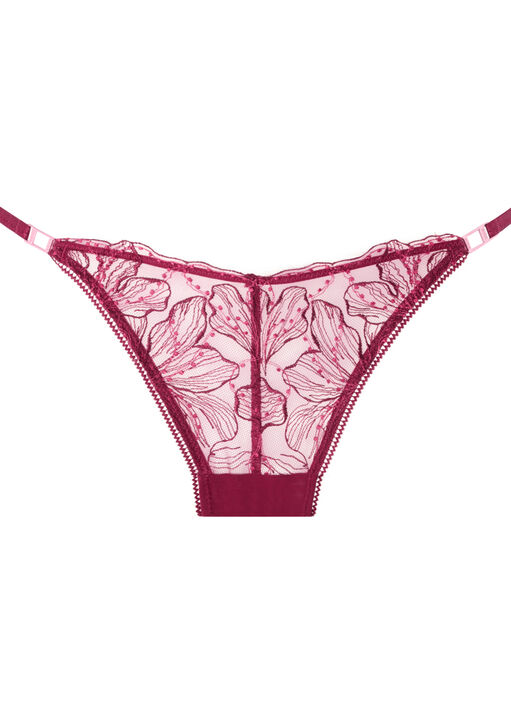 Knickerbox Aria Embroidered Brazilian Knickers image number 4.0