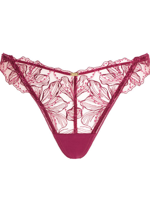 Knickerbox Aria Embroidered Thong image number 4.0