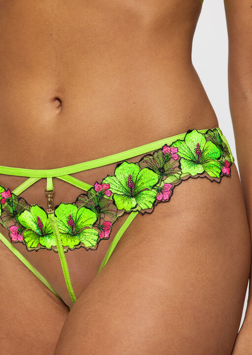 Caged Hibiscus Brazilian image number 3.0