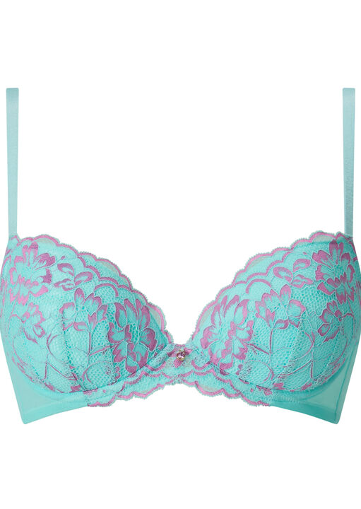 Sexy Lace Padded Plunge Bra image number 4.0