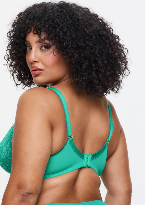 Sexy Lace Fuller Bust Non Padded Plunge Bra image number 2.0