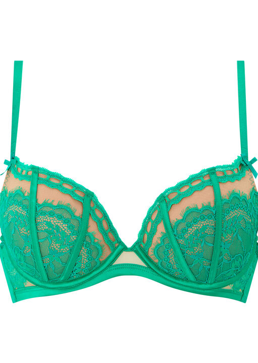 Caged Lace Padded Plunge Bra image number 4.0